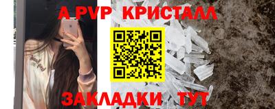 PSILOCYBIN Кингисепп