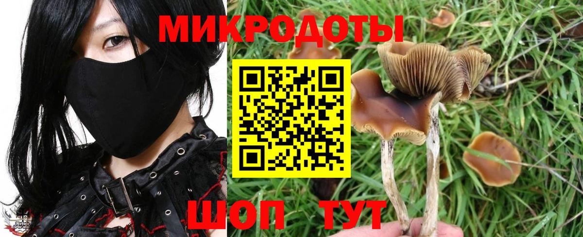 Нарткала  Галлюциногенные грибы Psilocybe  закладки  Галлюциногенные грибы мицелий  Вход с VPN 
